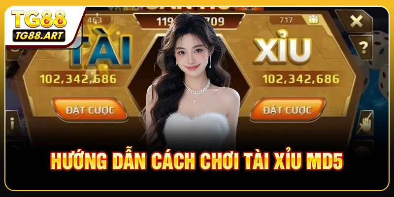 Hướng dẫn cách chơi Tài xỉu MD5 chính xác nhất